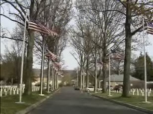 Avenue of American flags lining a road at a cemetery with headstones, trees, and houses.