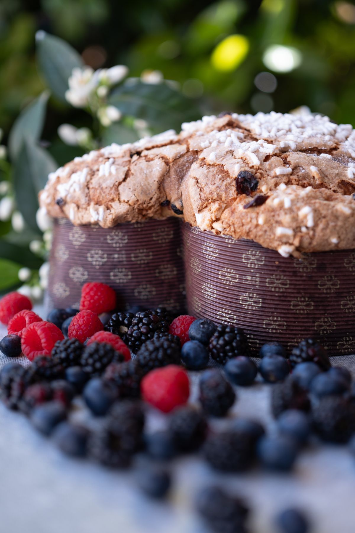 Due colombe con frutti di bosco davanti al verde.