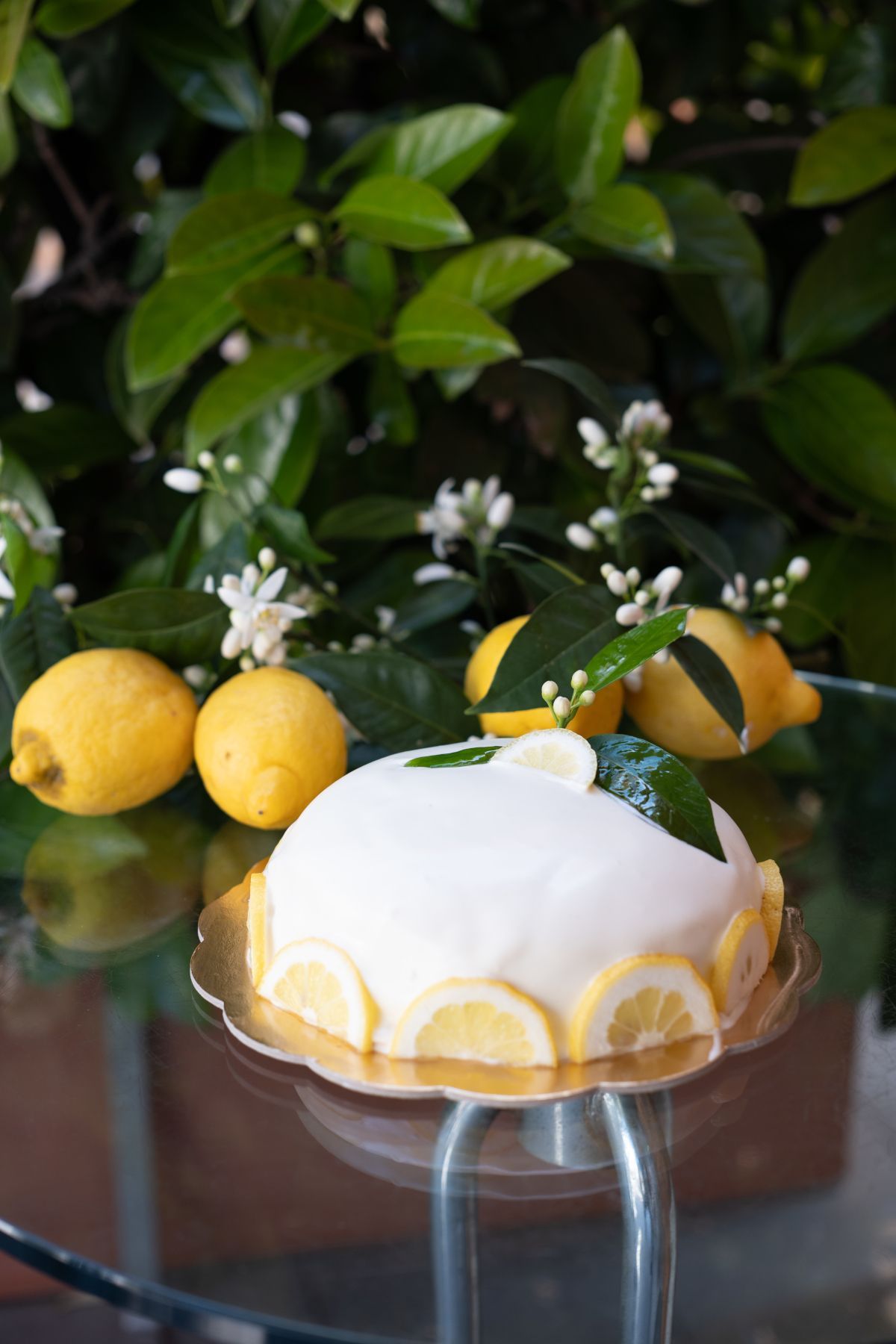 Torta al limone con fette di limone, limoni interi e foglie verdi, servita su un tavolo di vetro.