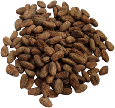 Cacao Beans Specifications