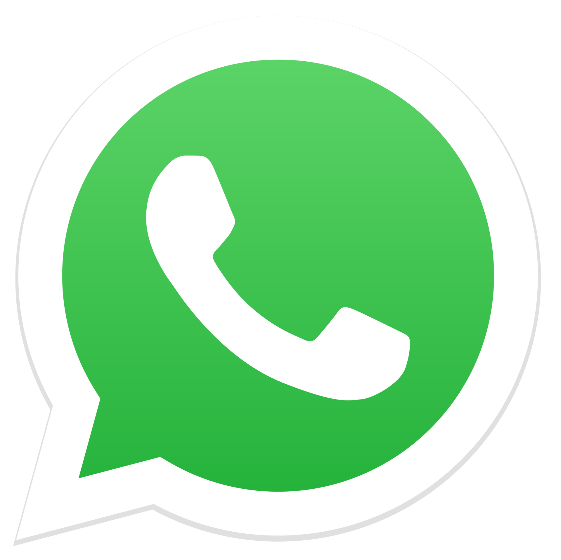 WhatsApp contato