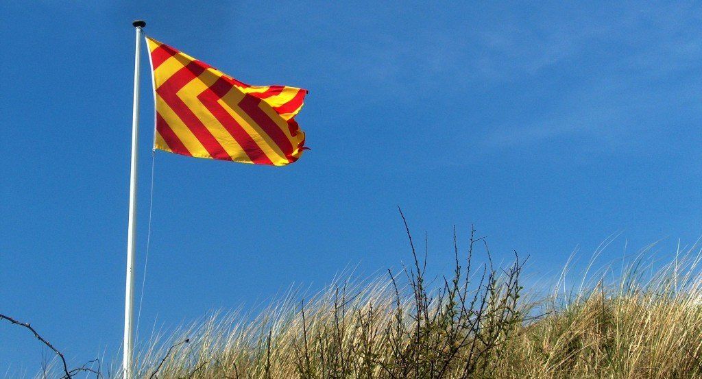 Het wapen en de vlag van Egmond