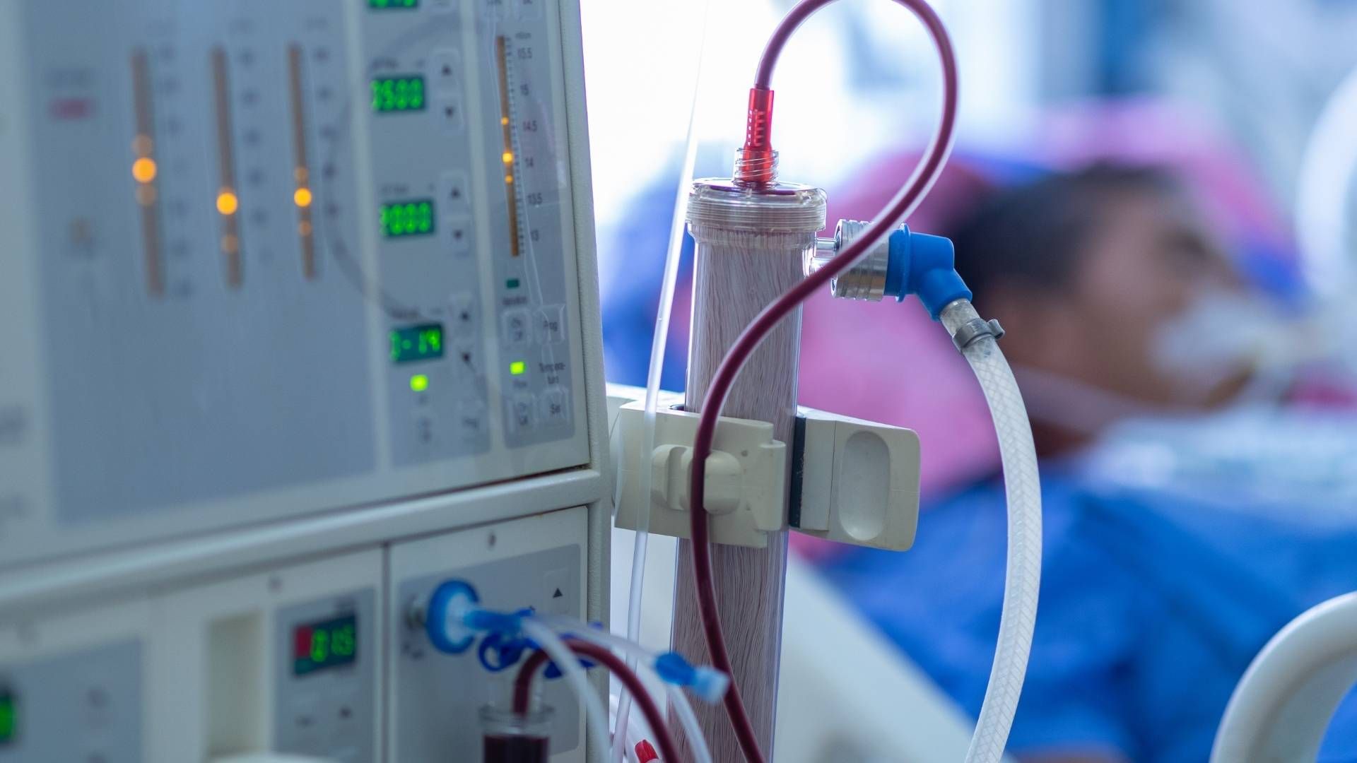Nephrologist reviewing dialysis nutrition options for an ESRD patient