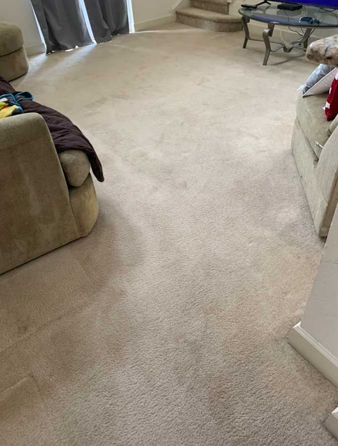 A living room with a couch , chair , and coffee table.
