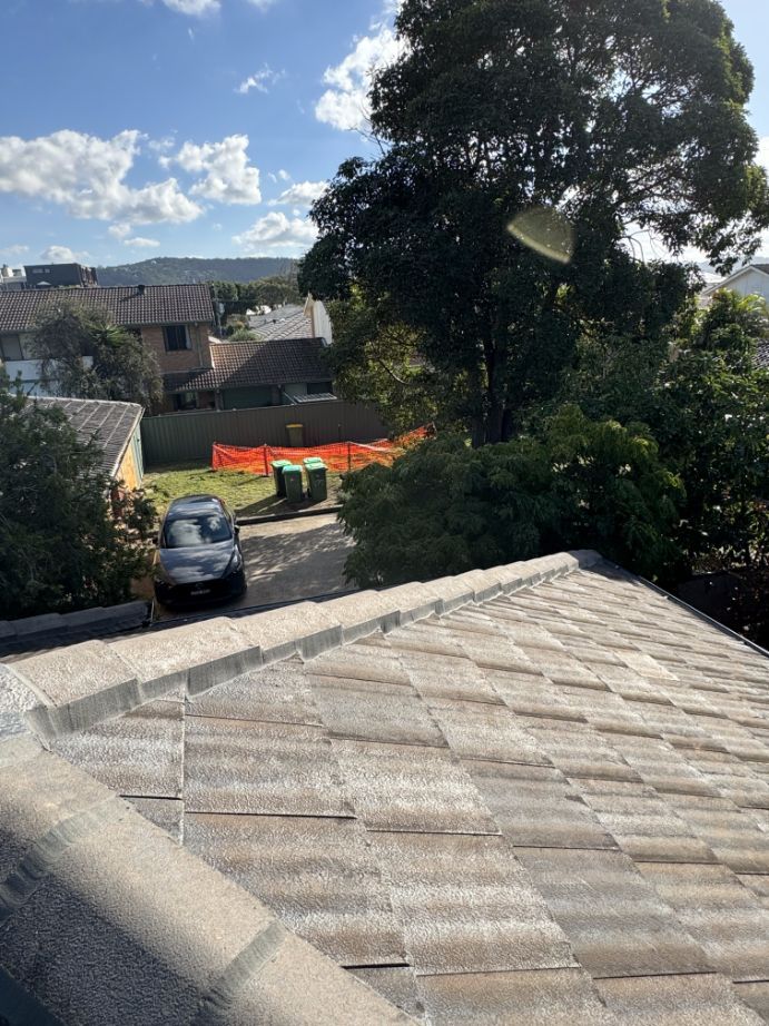 View of a Car From The Roof of a House — Platinum Pride Roofing In Wyong, NSW