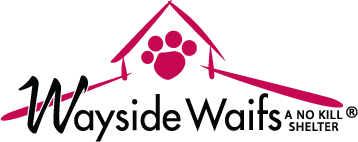 Logo for Wayside Waifs, a no-kill animal shelter. Features a paw print in a house-shaped frame with the name and slogan.