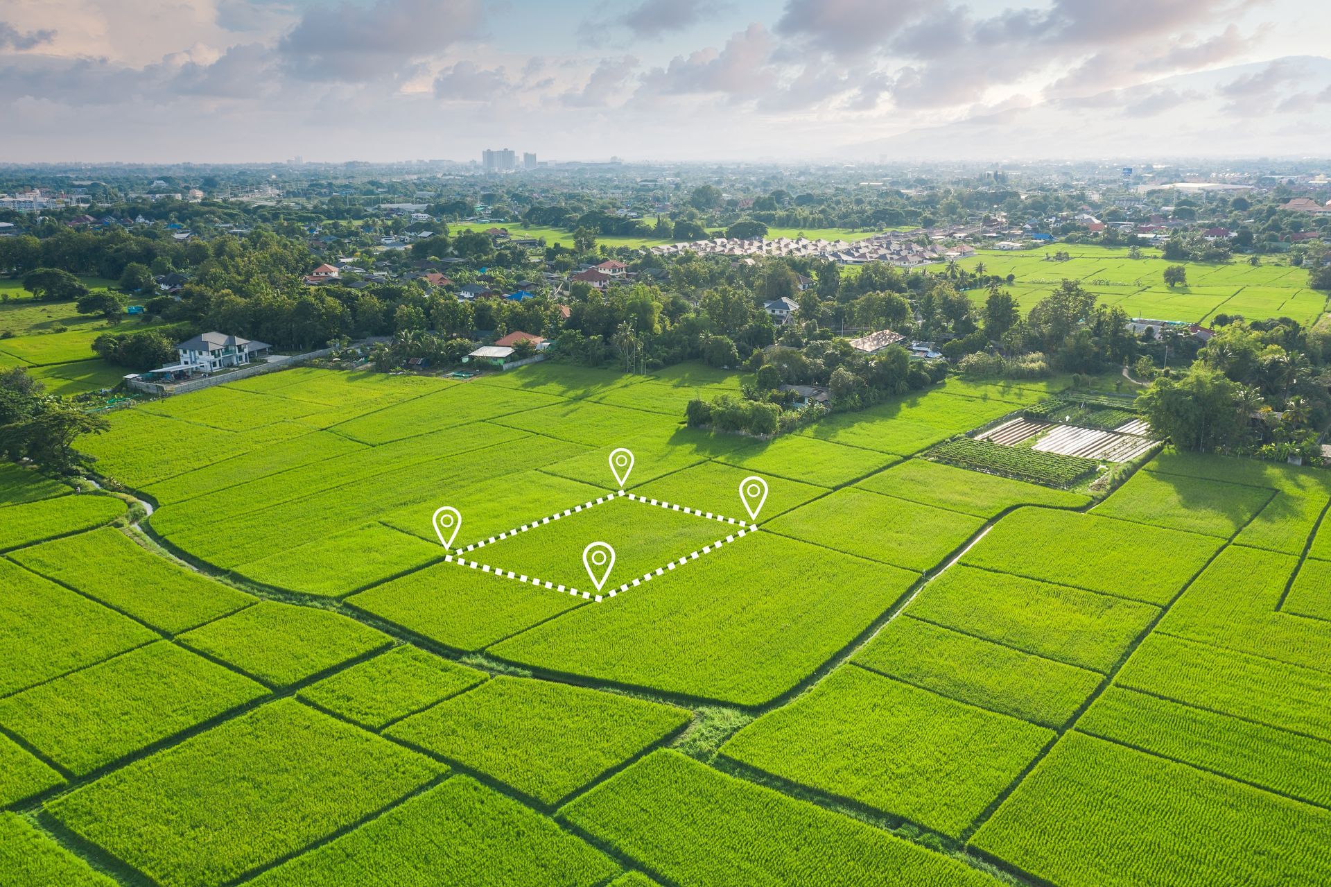Aerial view of green rice fields, highlighted by a square plot marked with location pins, in a rural setting.