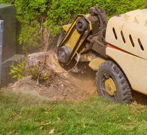 Stump Grinding