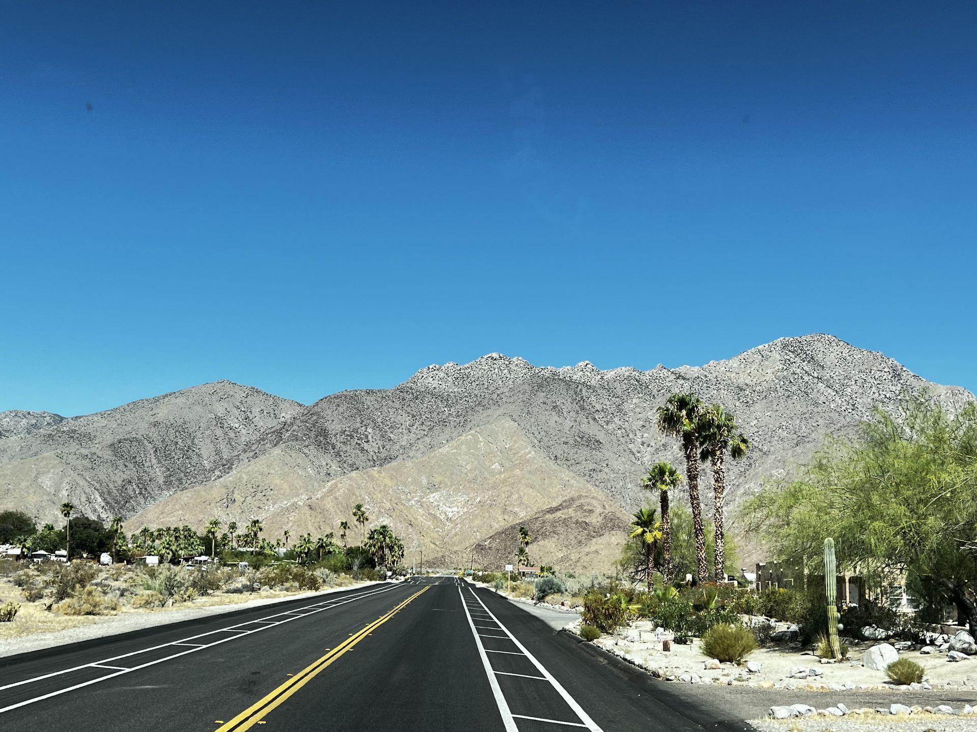 Borrego Springs: Thriving Amidst Desert Challenges 