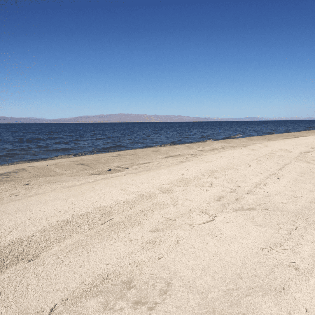 There is a beach with a large body of water in the background.