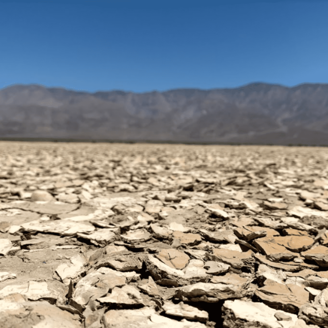 Clarks Dry Lake Bed Borrego Springs 