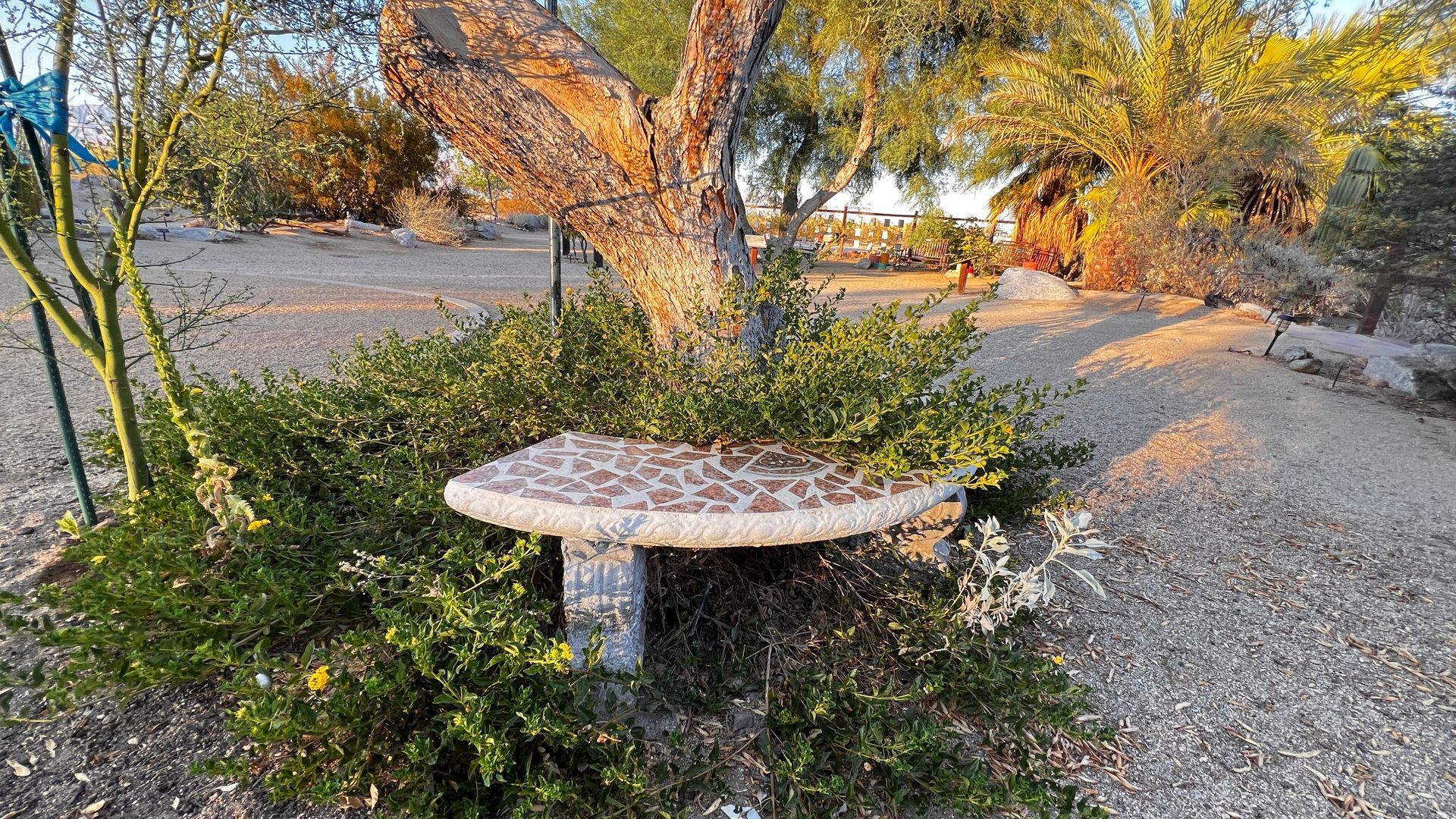 ABDNHA Desert Garden