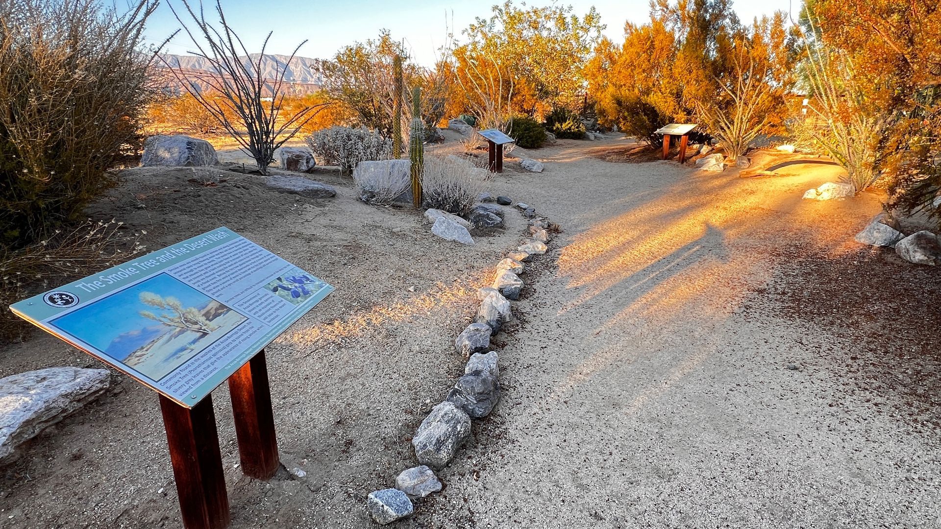 ABDNHA Desert Garden walkway 