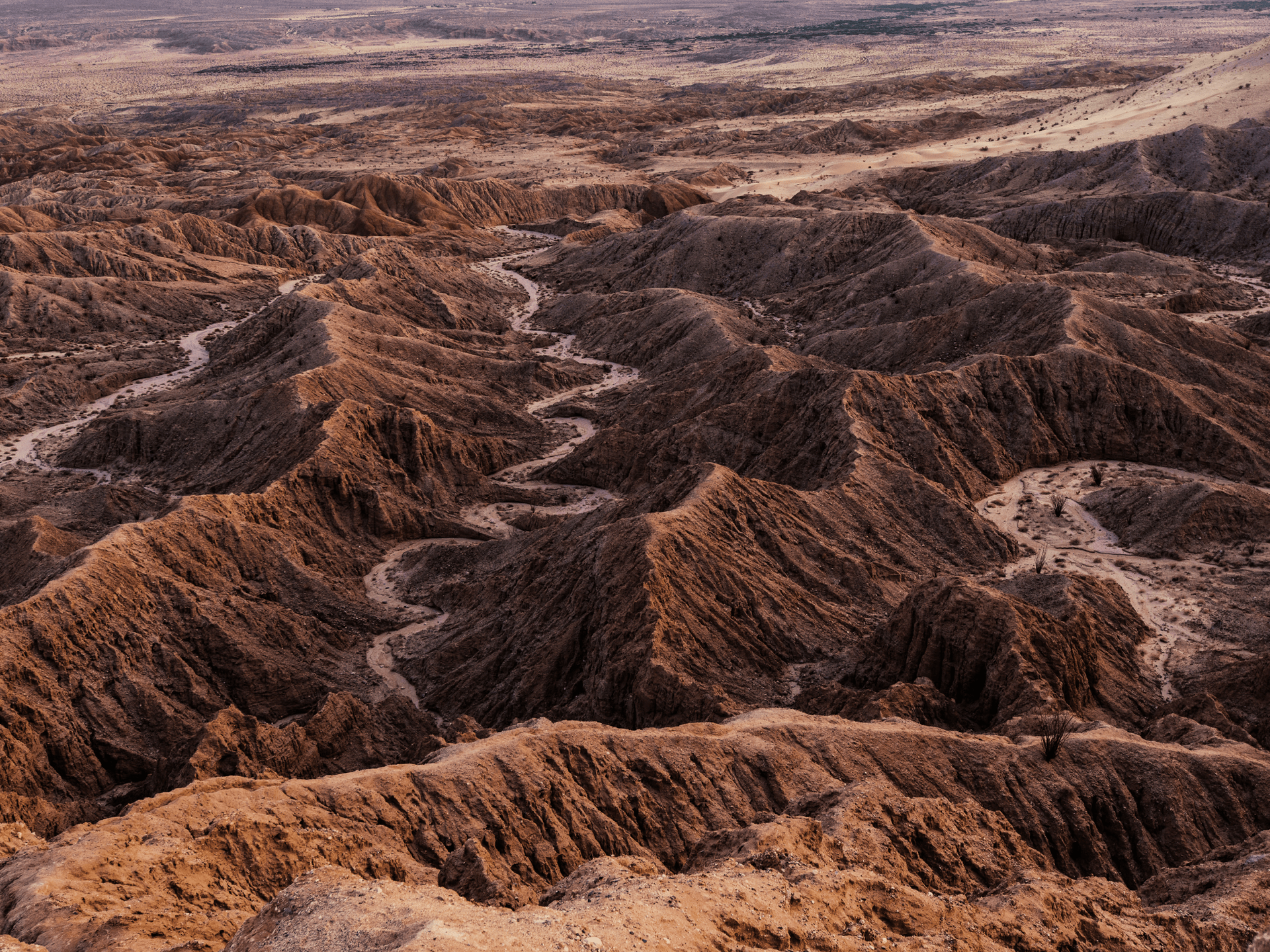 Anza-Borrego Desert State Park's: A Geological Adventure