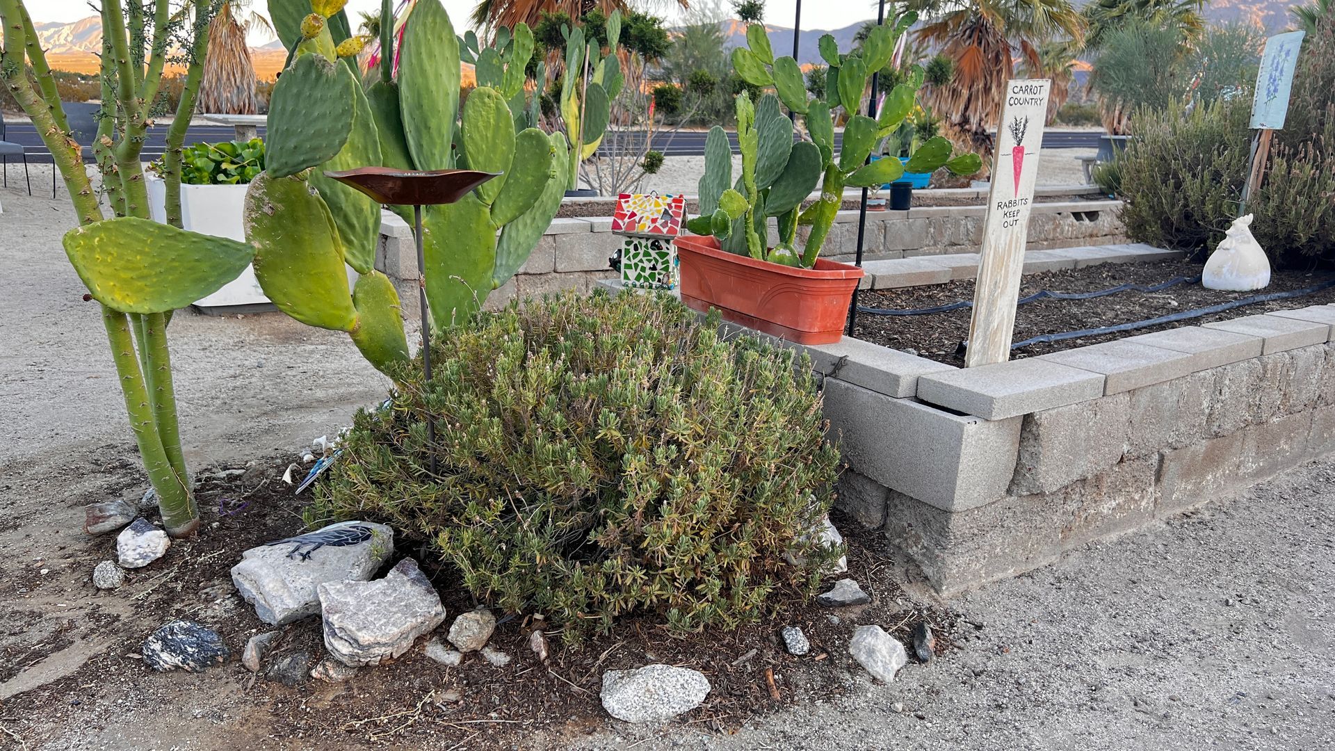 ArtPark in Borrego Springs