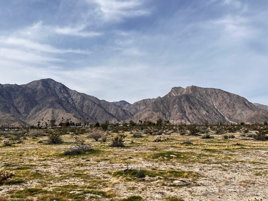 Borrego Springs, a serene desert oasis, stands on the cusp of a transformative community project. 