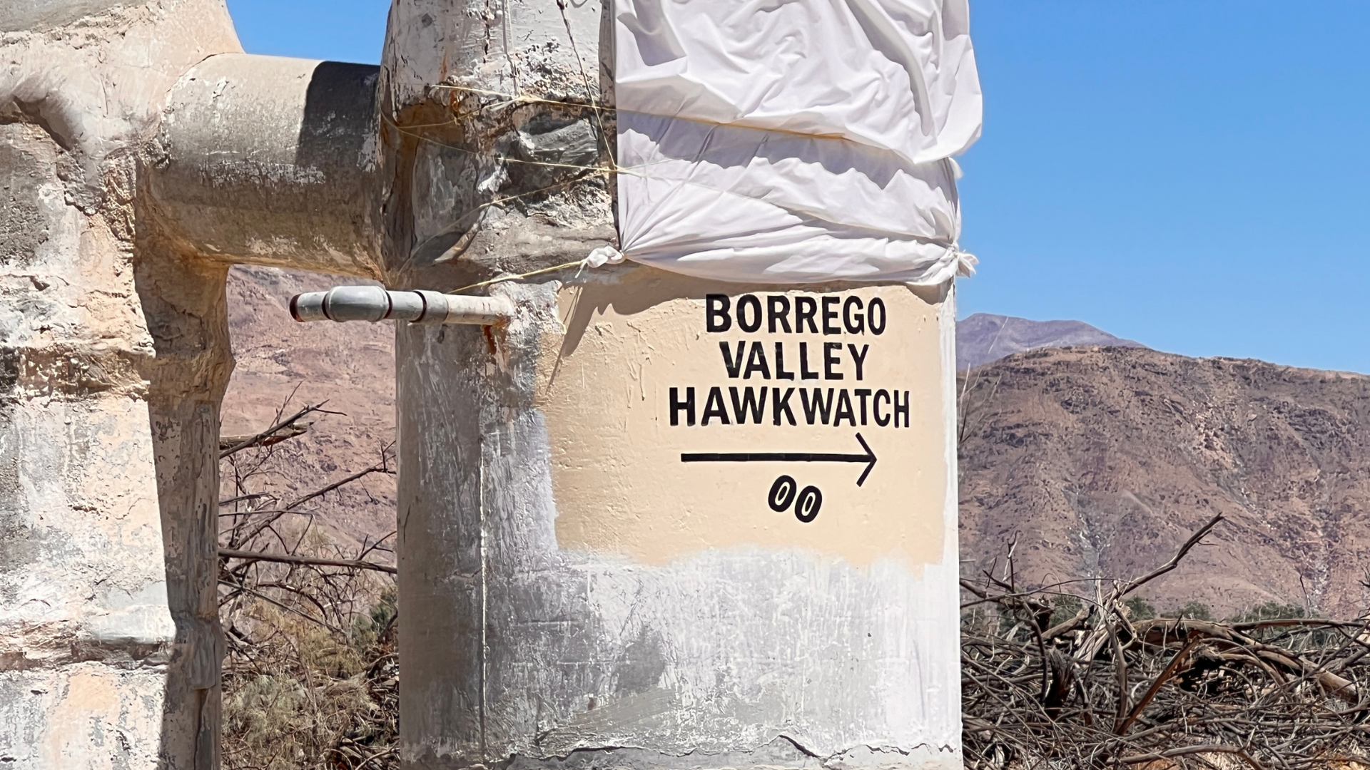 Borrego Valley Hawk Watch