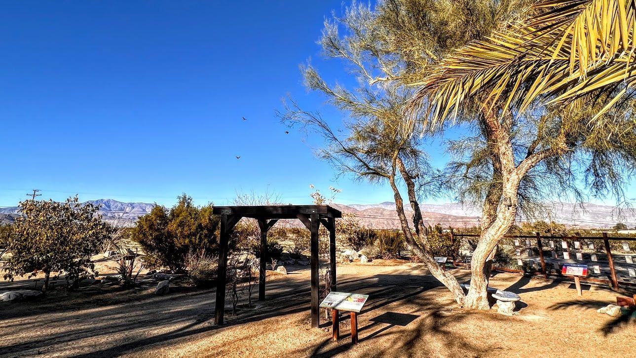 borrego springs botanical garden