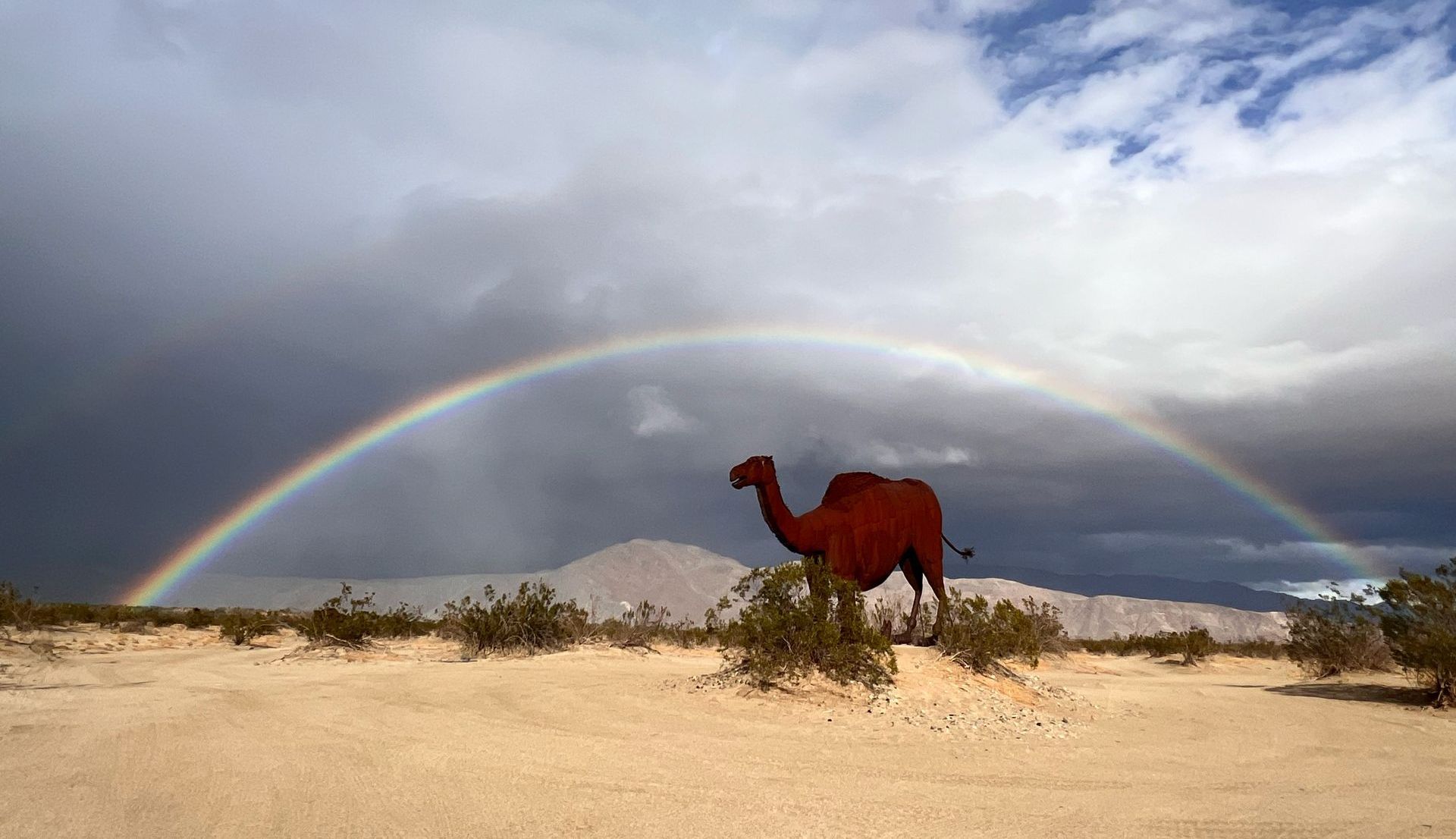 Metal Sky Art Sculptures in Borrego Springs