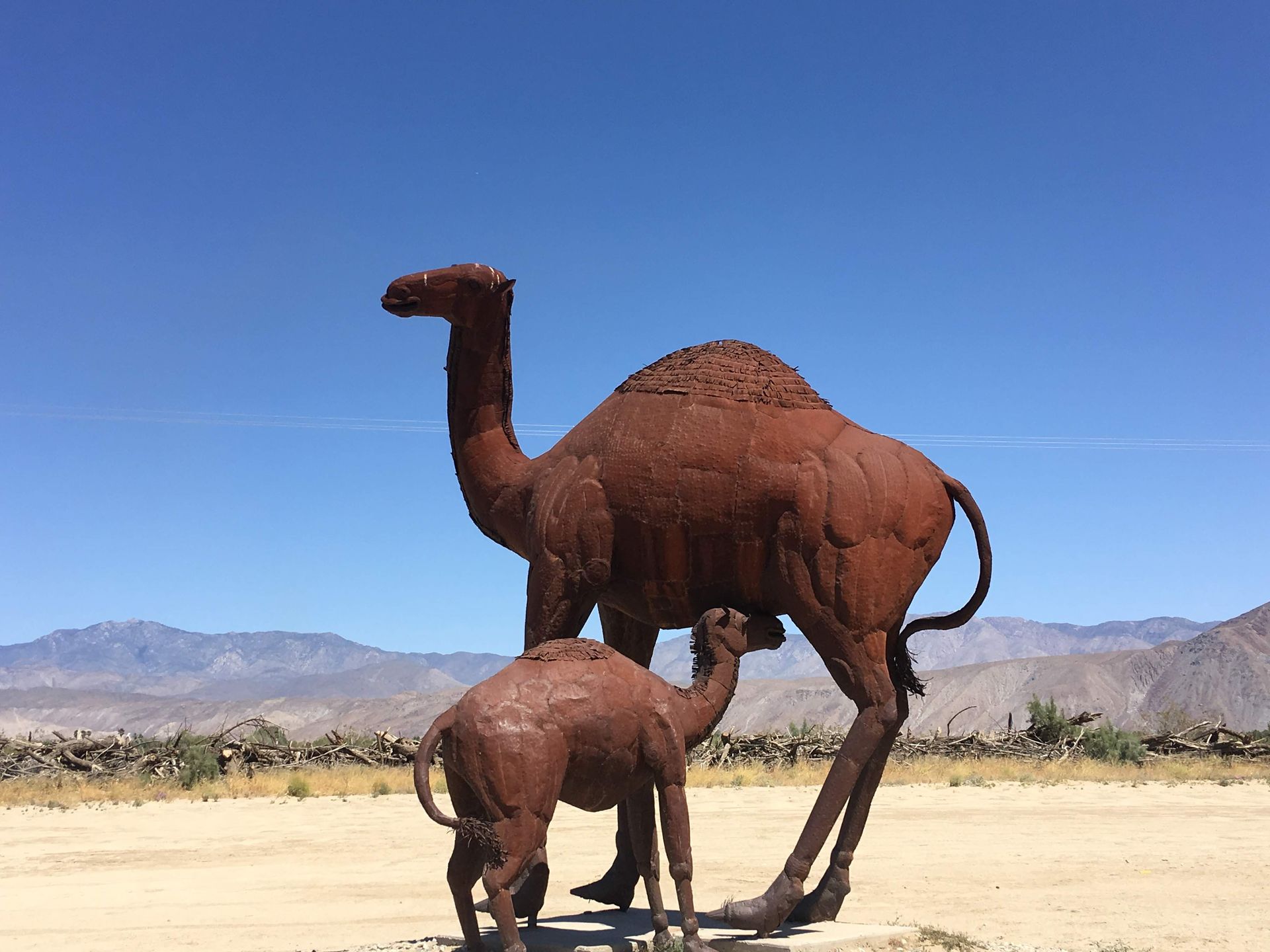 Metal Sky Art Sculptures in Borrego Springs