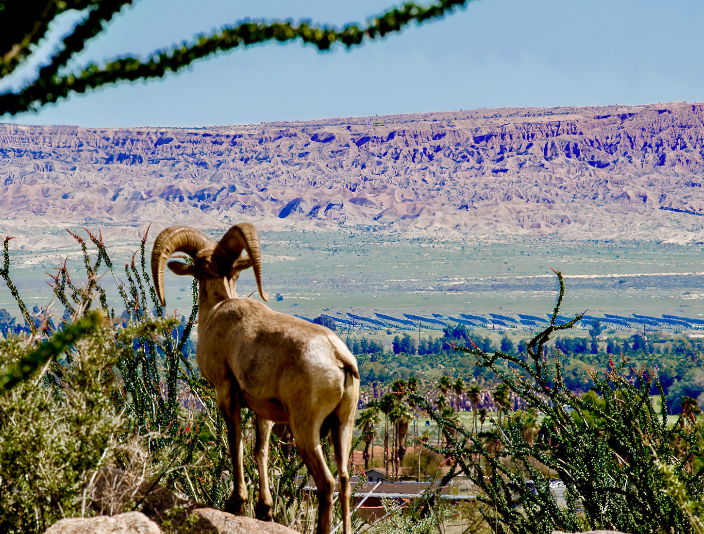 Discover the enchantment of Borrego Springs, where lasting memories are born.