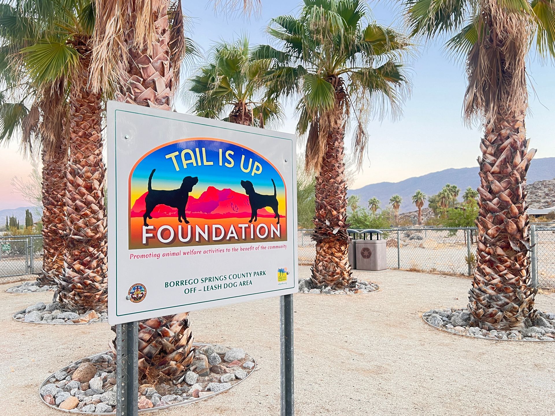 Borrego Springs County Park - Tails Up Dog Park