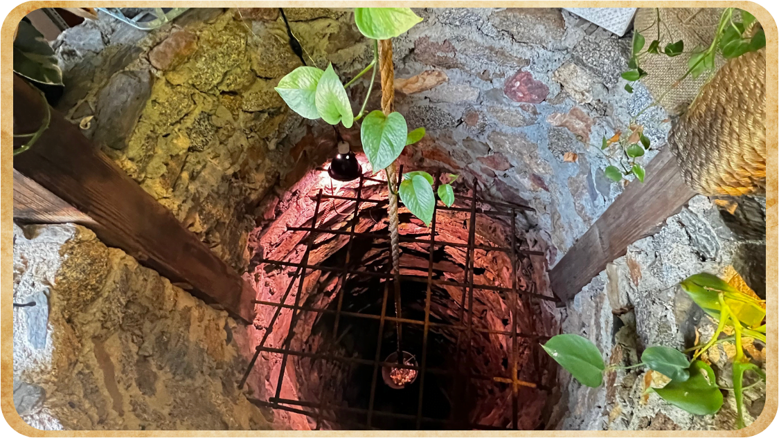 A tree is growing out of a hole in the ground.