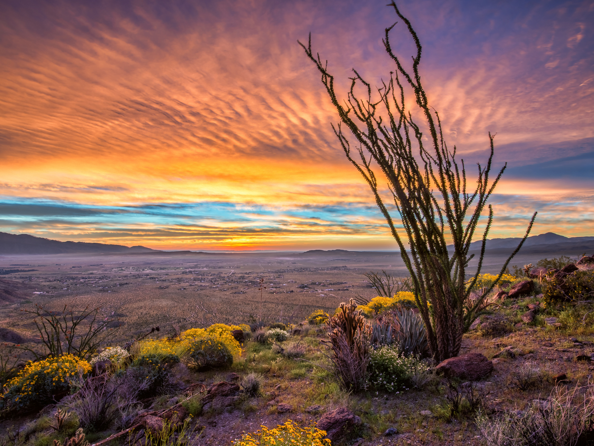 we will delve into the vibrant tapestry of the Anza-Borrego region, revealing its ecological treasures, archaeological significance, and thrilling outdoor activities.