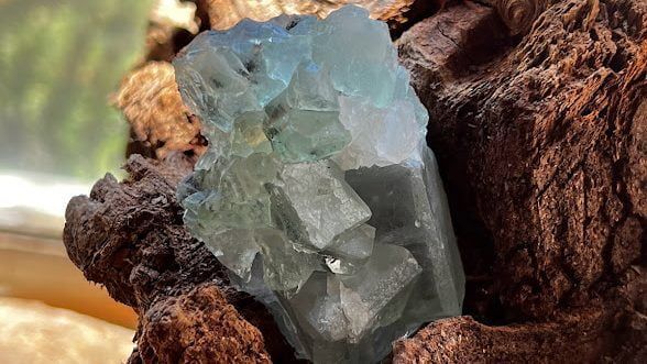 Explore Huckleberry's Trading Posts' Meticulously Curated Collection of Fluorite