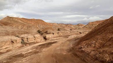 Discover the Beauty of Anza-Borrego