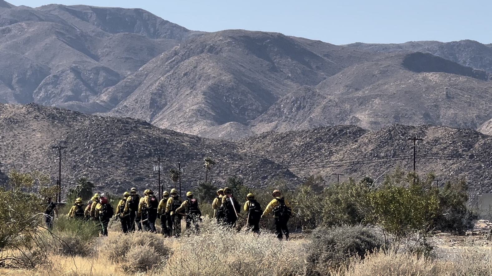 Cal Fire on scene in Borrego Springs