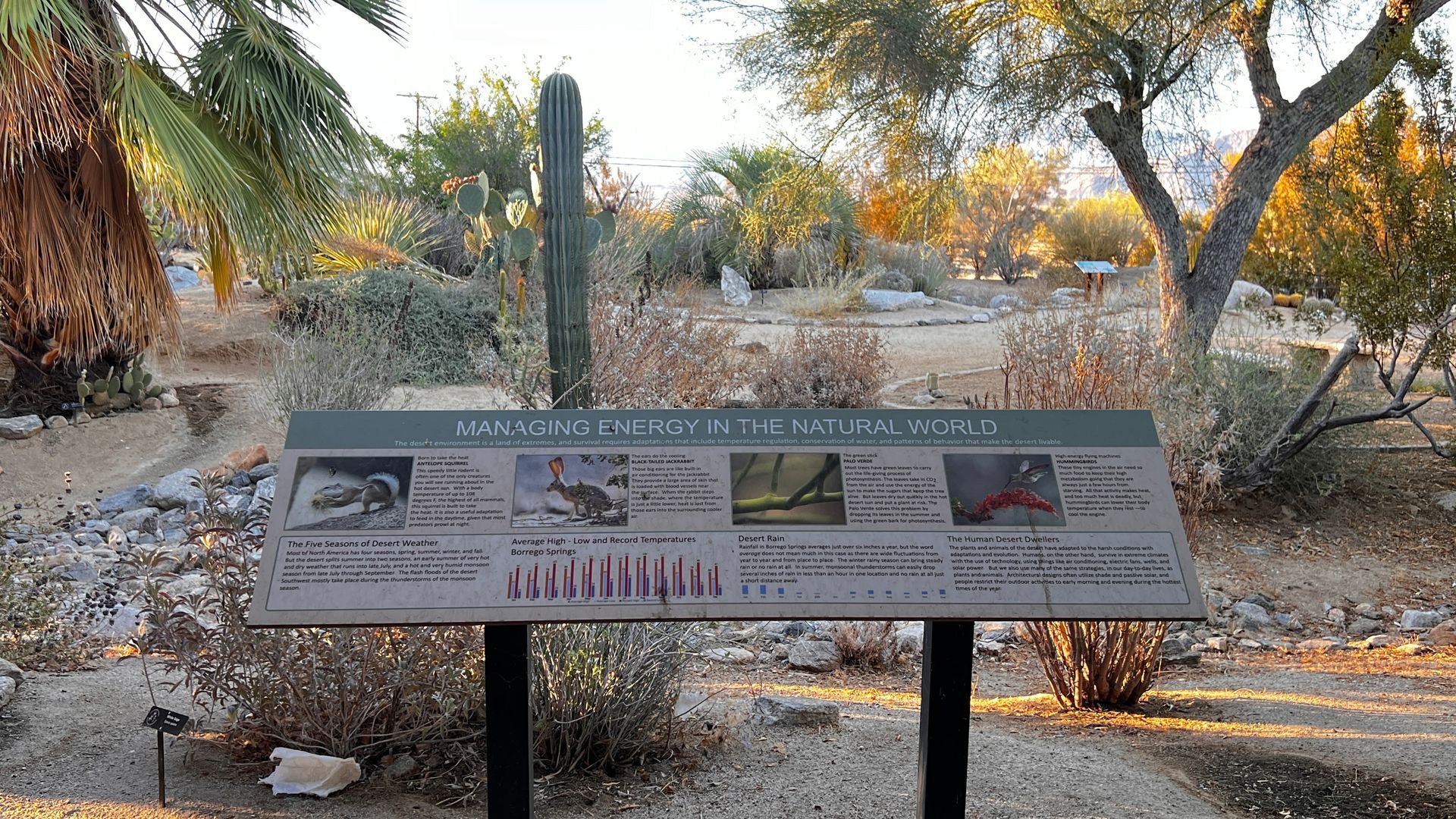 ABDNHA Desert Garden