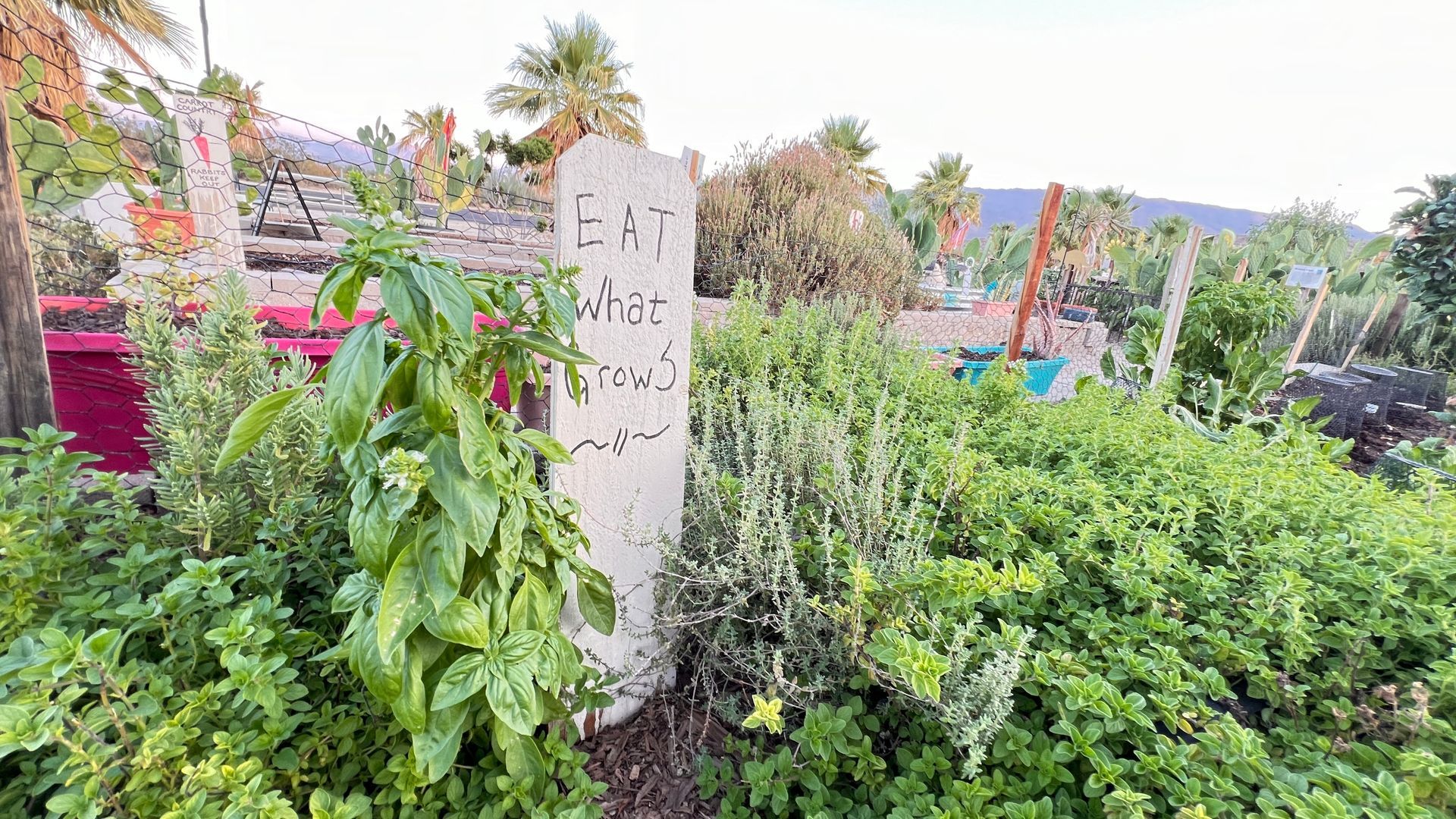 Borrego Art Institute ArtPark Garden