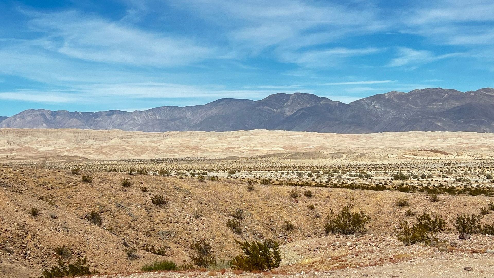 Camping in Borrego Springs: Everything You Need to Know