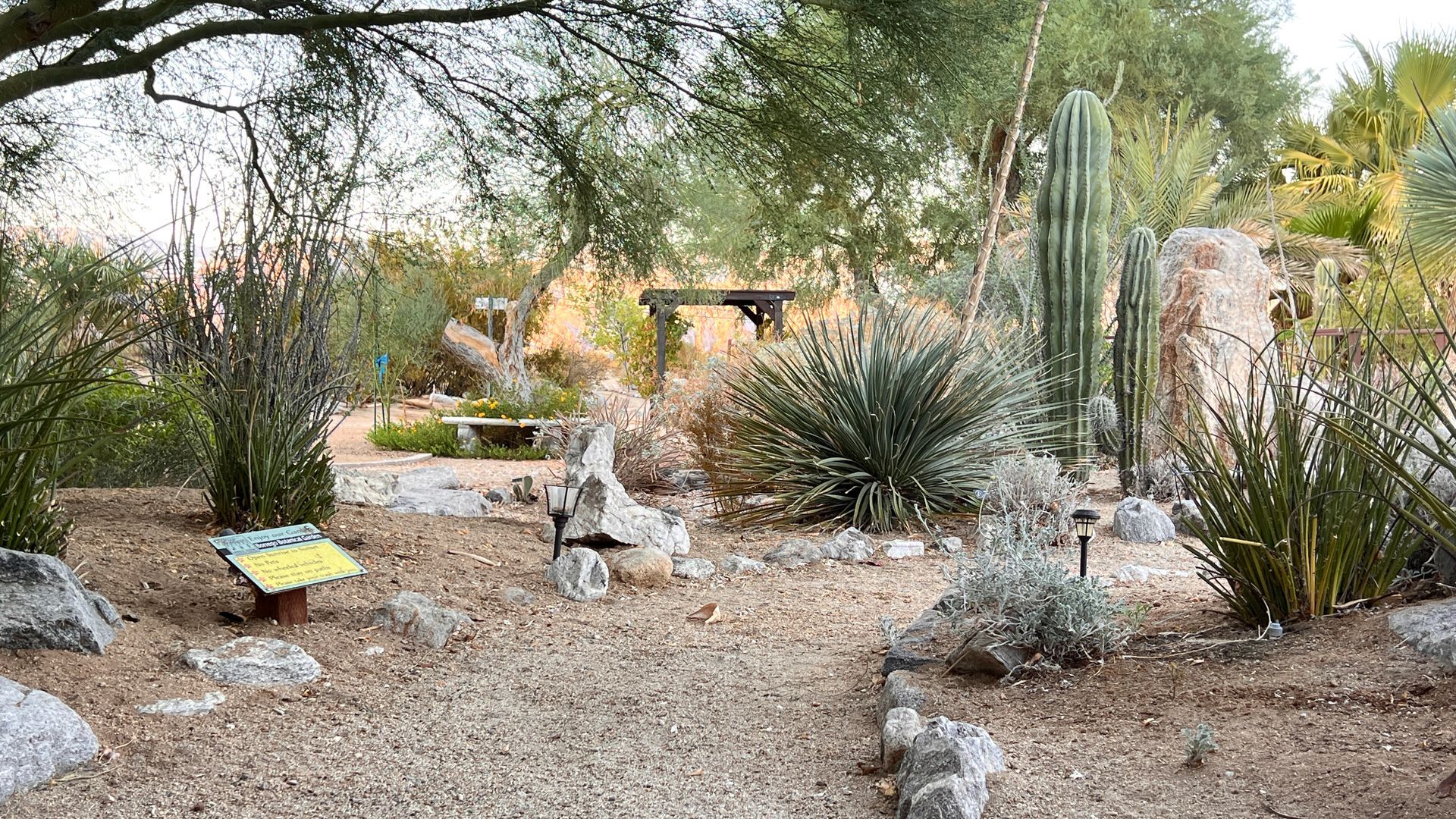 ABDNHA Desert Garden 