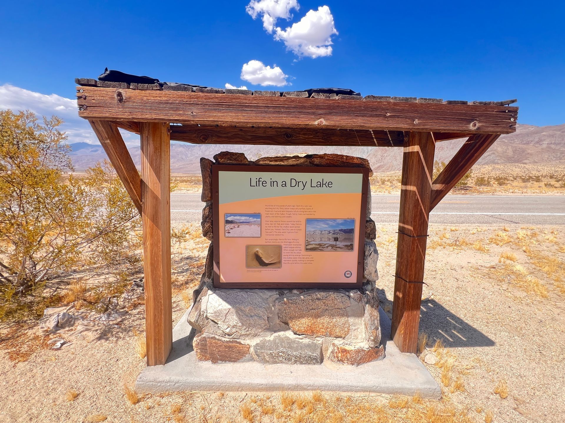 Clark Dry Lake: A Hidden Gem in the Anza-Borrego Desert
