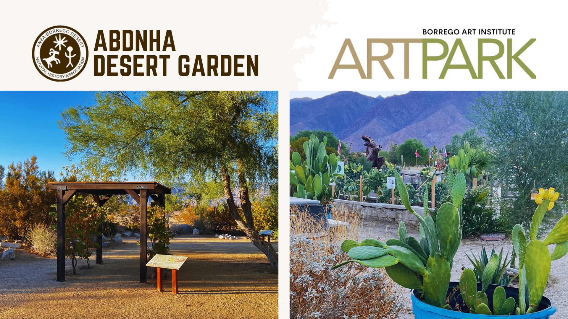 Must-Visit Gardens in Borrego Springs: Nature & Art Attractions