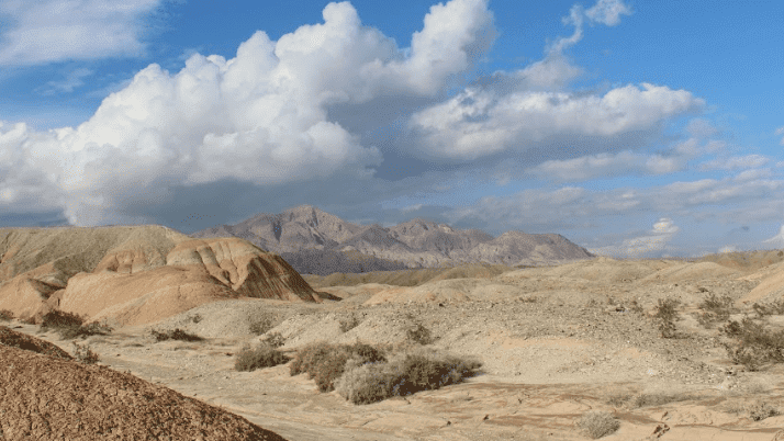 Anza-Borrego and Ocotillo Wells have a marine past that is visible in the washes and canyons within the parks. The Anza-Borrego Discovery Route is a 200-mile journey that takes visitors through the park's most beautiful and intriguing natural features. 