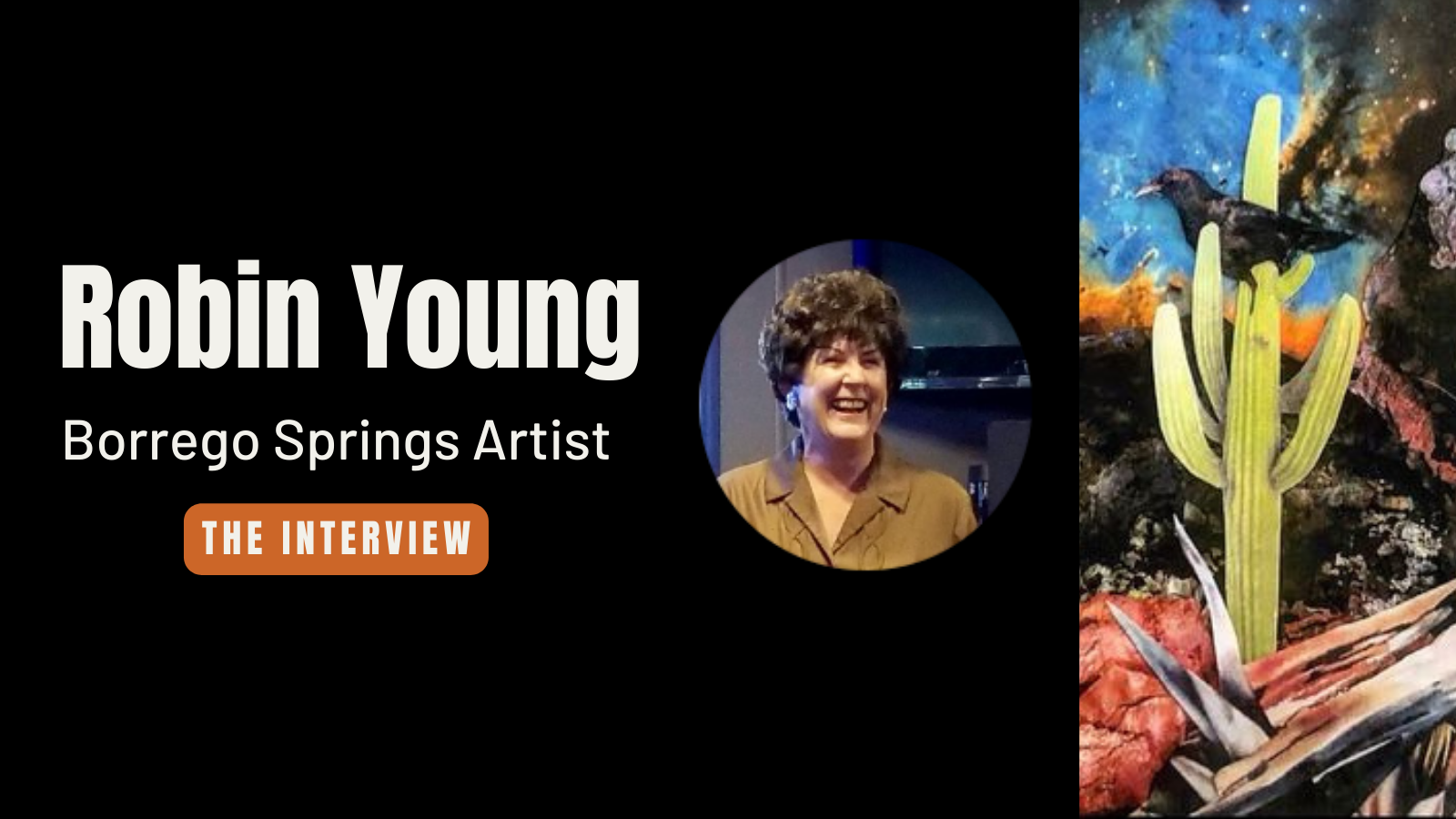 Interview with Robin Young: Borrego Springs Artist