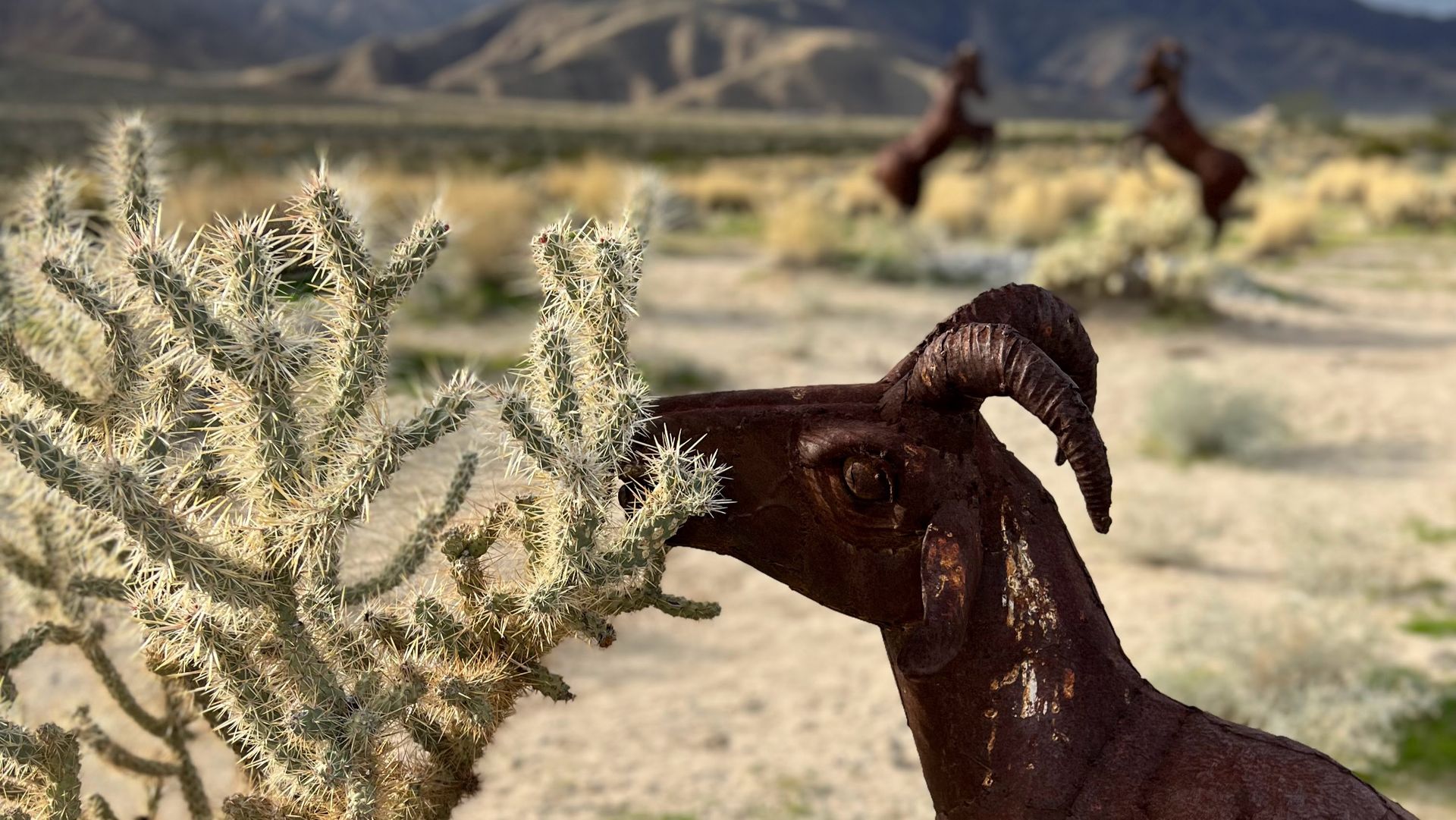 Borrego Springs Metal Sky Art Bighorn Sheep Eating Sculpture