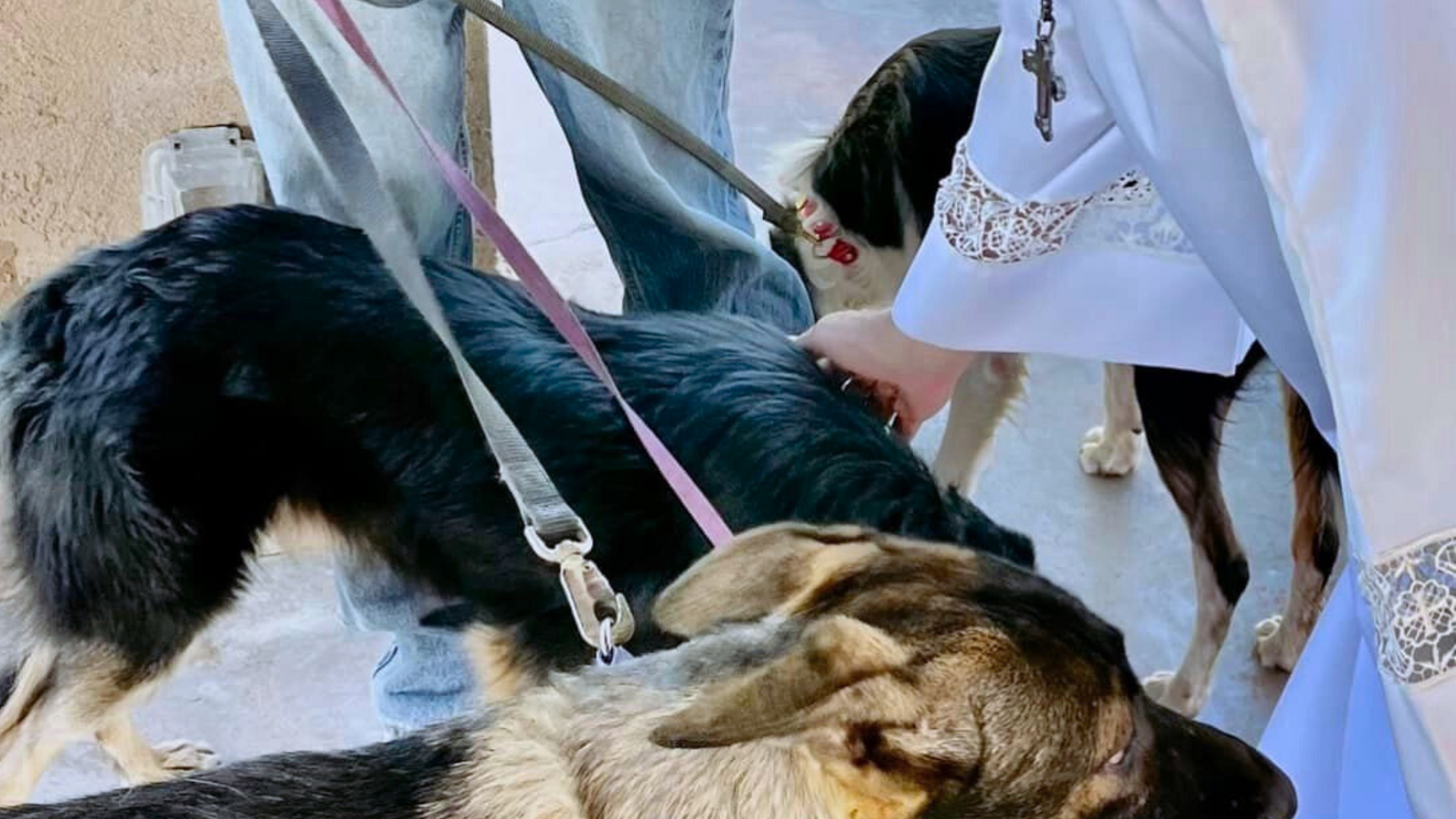 Blessing of the Animals in Borrego Springs