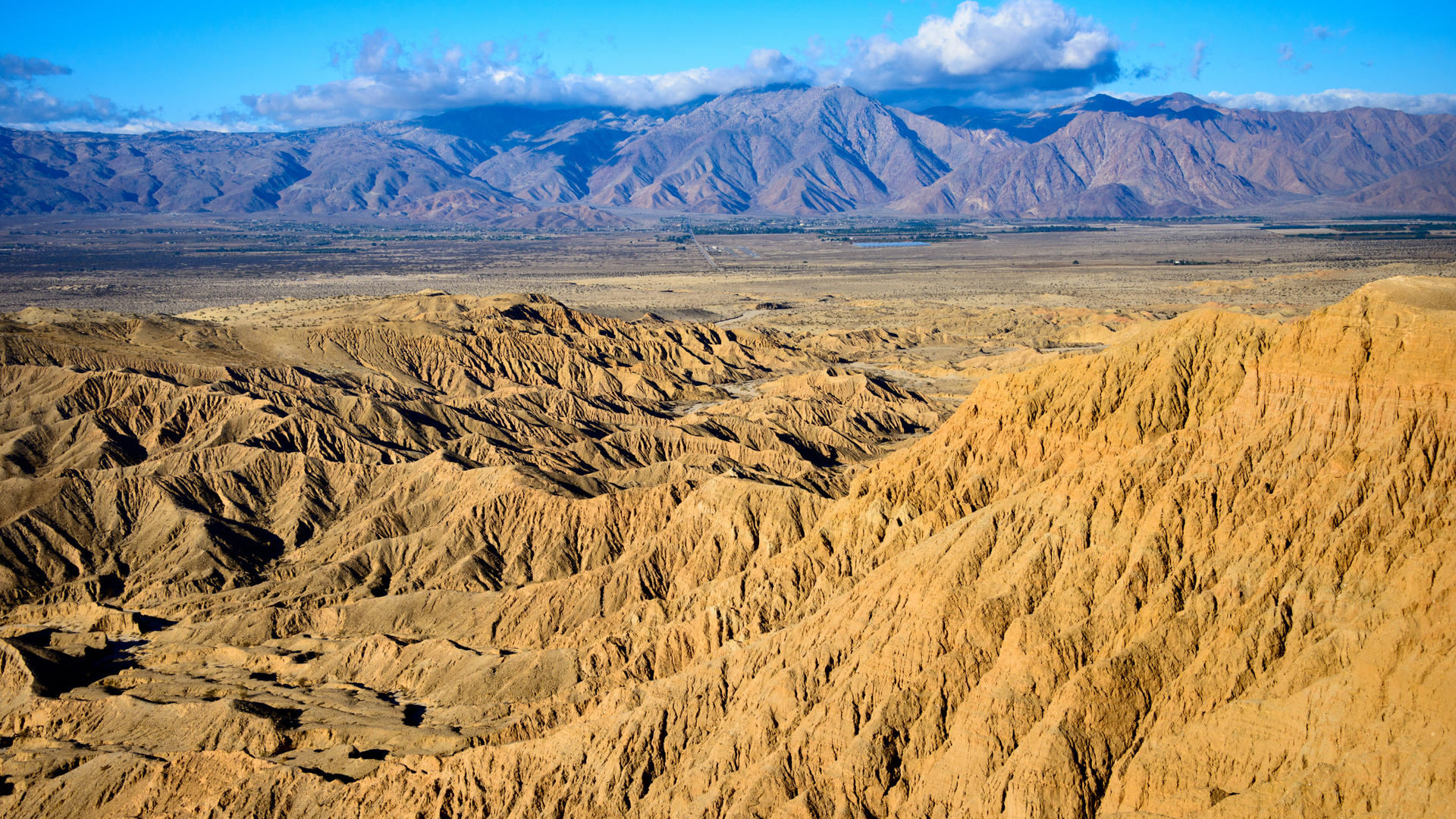 Uncover the beauty and excitement of Anza-Borrego Desert State Park and surrounding attractions in San Diego County. Perfect for residents looking for a memorable staycation.