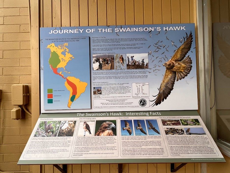 Swanson Hawk Panel at ABDNHA