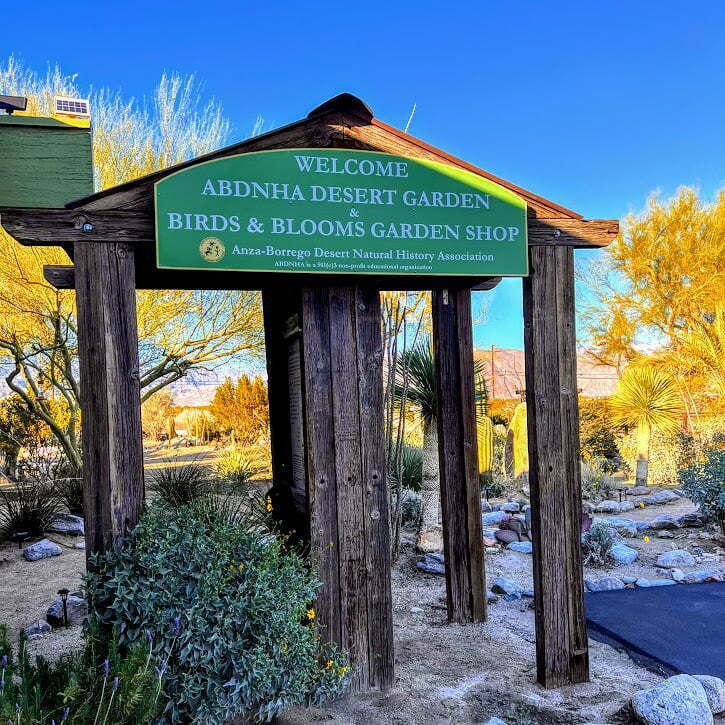 borrego springs botanical garden