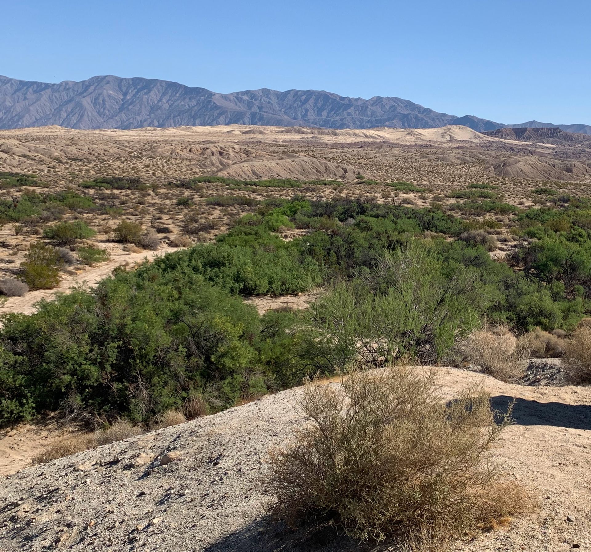 Unlock the secrets of San Gregorio in Anza-Borrego State Park. Dive into its rich history, scenic landscapes, and why it's a must-visit destination.