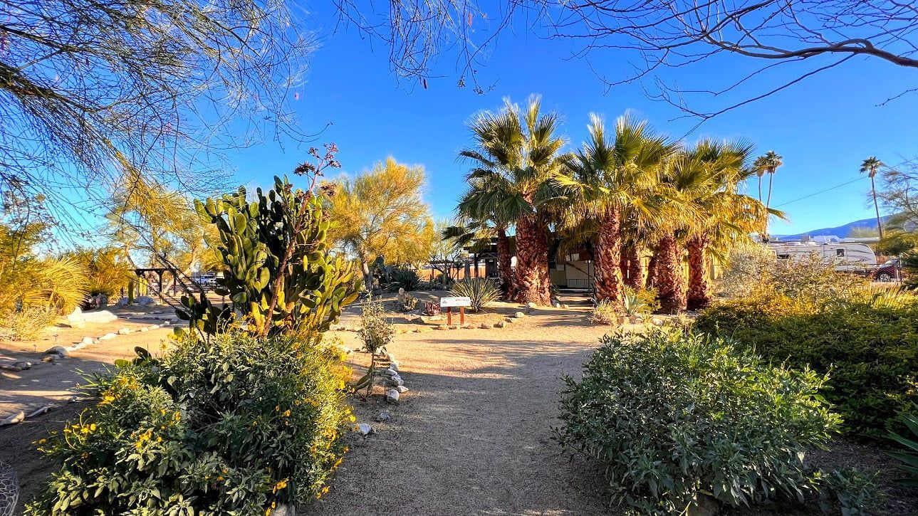 ABDNHA Desert Garden