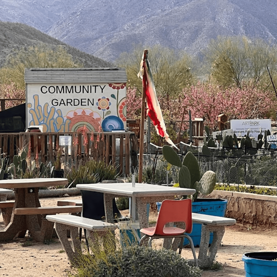 Art Park Borrego Springs