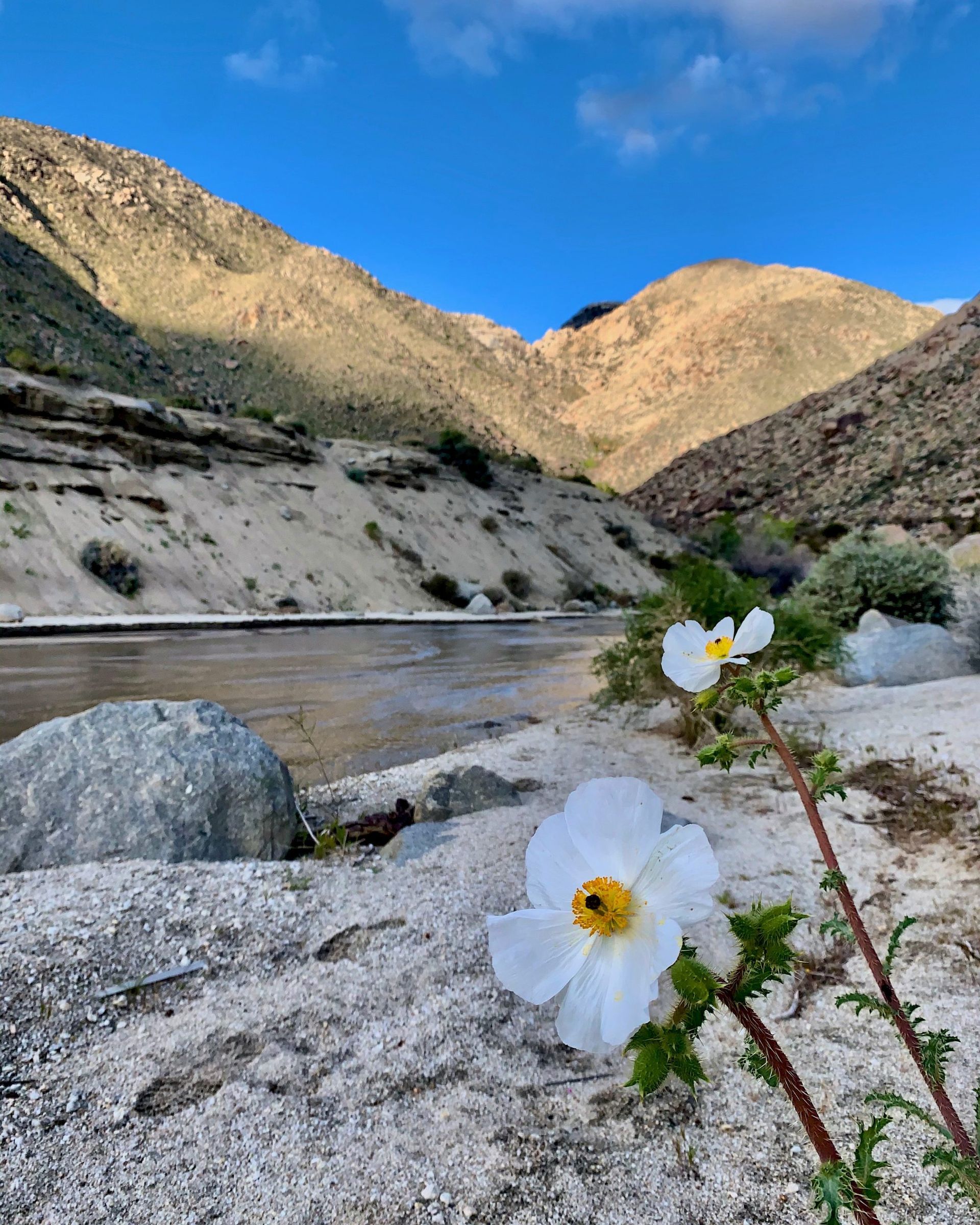 Sheep Canyon