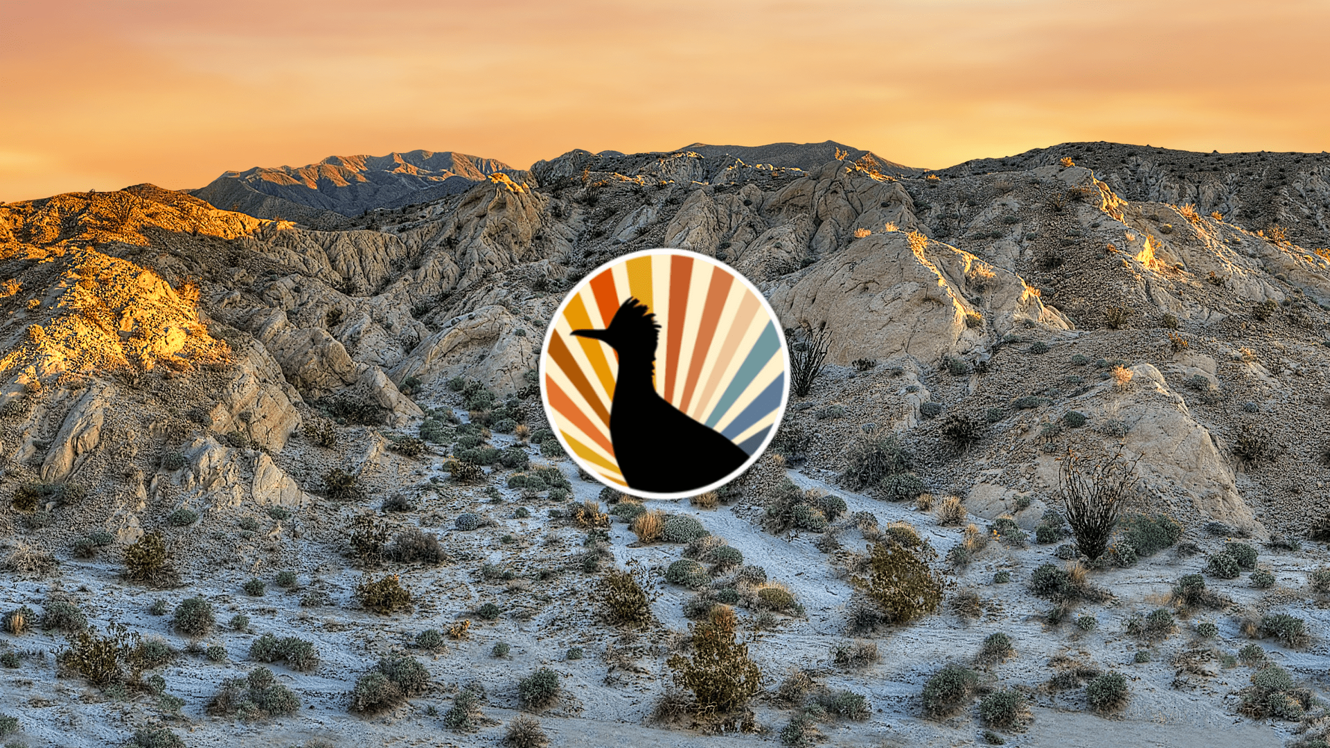 GoToBorregoSprings: A Digital Oasis of Positivity and Authenticity