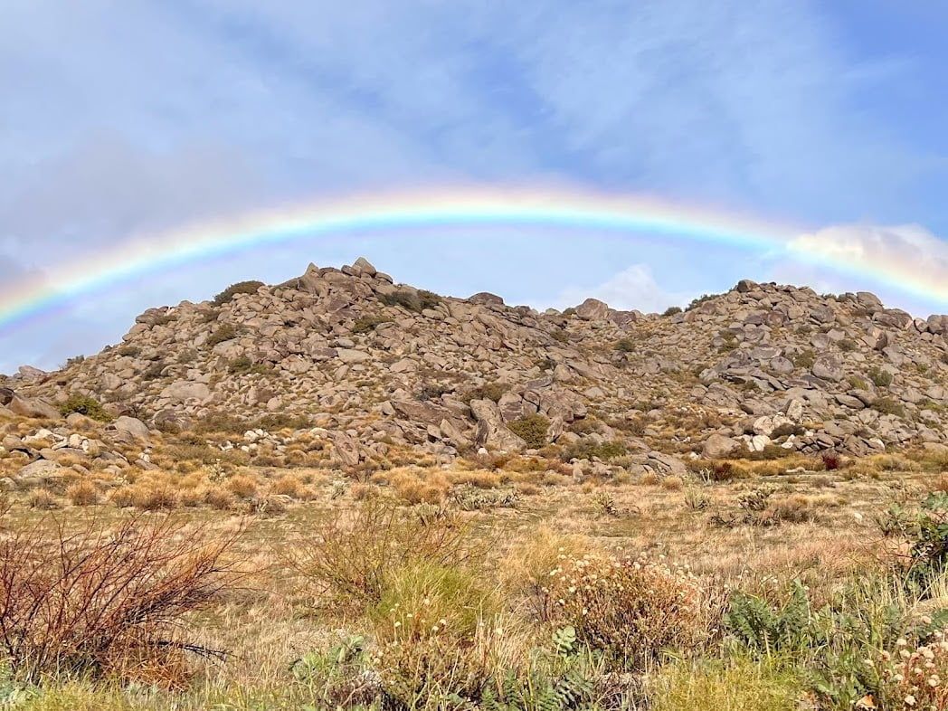 What to Expect at Anza-Borrego State Park